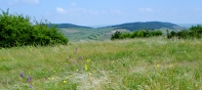 Campanie nationala de constientizare privind importanta conservarii Biodiversitatii prin Reteaua Natura 2000 in Romania - Proiect 17609 SMIS-CSNR